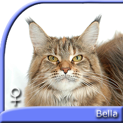 BELLABETH SpecialAgent*PL
