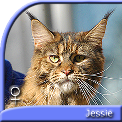 TEAGAN Wiki-Black*PL
